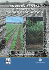 Environmental Impacts of Sugar Production (      -   )